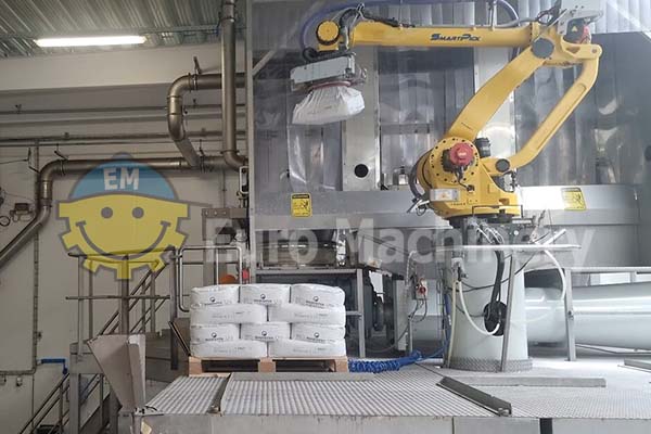 8629 Sacchi SmartPick robotic bag picking system 8629 Sacchi SmartPick robotic bag picking system